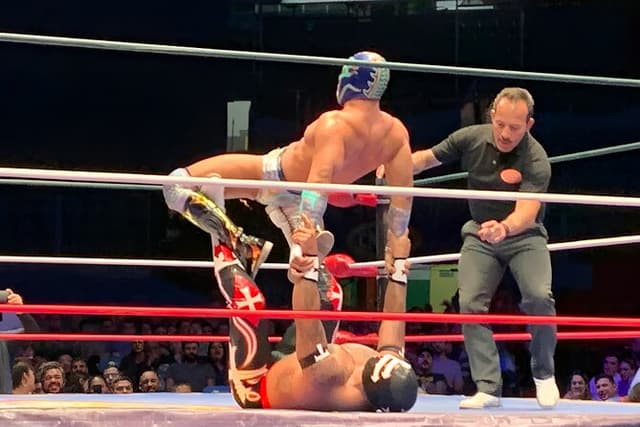 Lucha Libre, Pulque and Tacos Tour in Mexico City