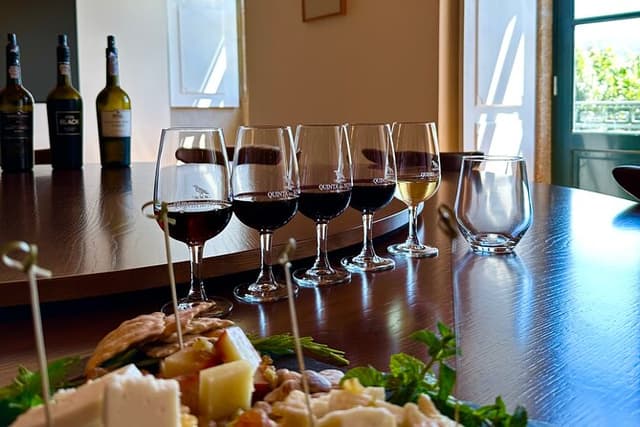 Private Douro Valley Winery Tour and River Cruise