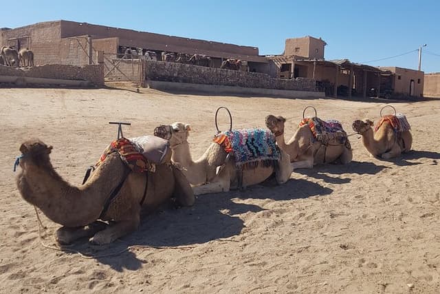 Private Excursion in the Agafay Desert