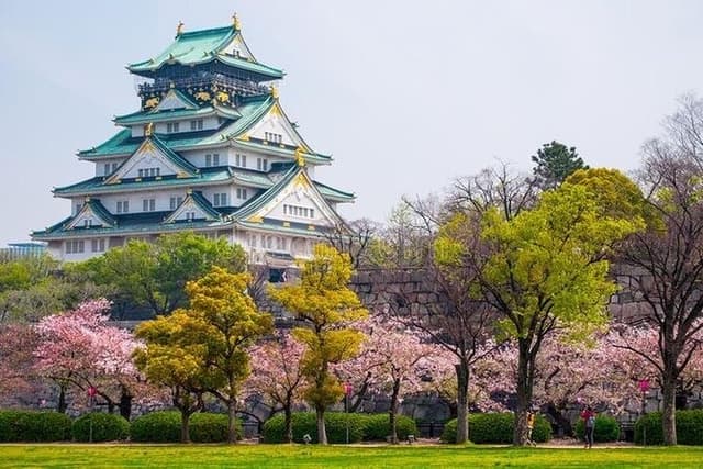 PRIVATE 6hr, Food tour from Osaka Castle, Kuromon, Dotonbori.