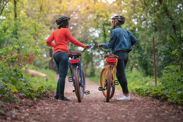Pedego Electric Bike Tour at Greenville