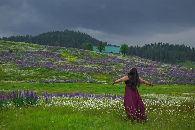 5 Days Kashmir Beauty Tour with Accommodation and Transport