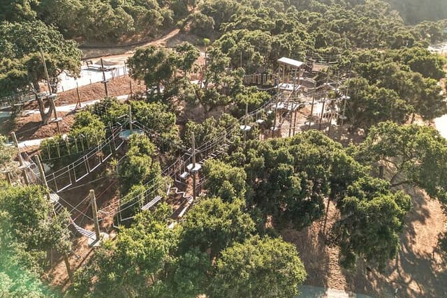 High Ropes Adventure Course near Santa Barbara