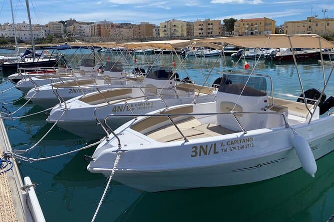 Best Boat Rentals in Vieste: Private Sea Tours & Charters