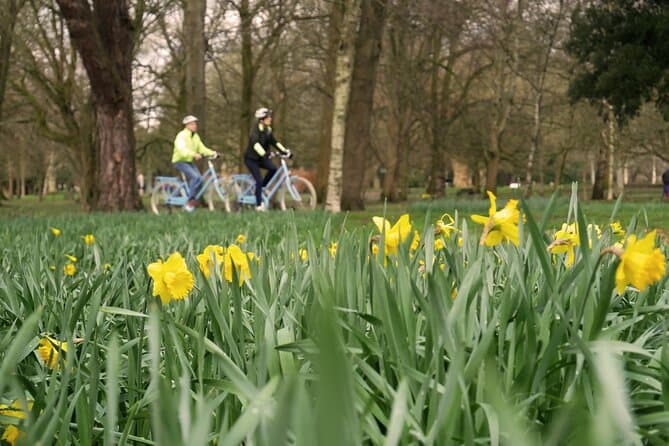 Best Cardiff Walking Tours: Explore History & Local Gems