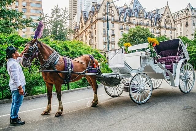 NYC Central Park & Rockefeller Center Private Horse Carriage Tour