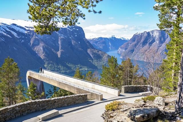 From Bergen: Flåm Railway, Stegastein & Nærøyfjord Cruise