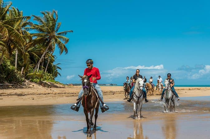 Compare Top-Rated El Yunque Horseback Tours