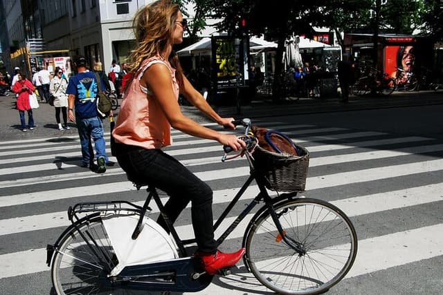 Best of Copenhagen: Small Group Biking Tour (Max 10, 3 Hours)