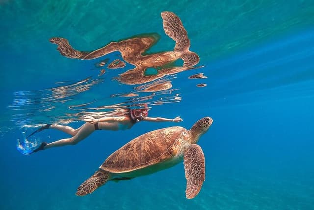 Sea Trip by Boat to Marsa Mubarak – Snorkeling in Marsa Alam