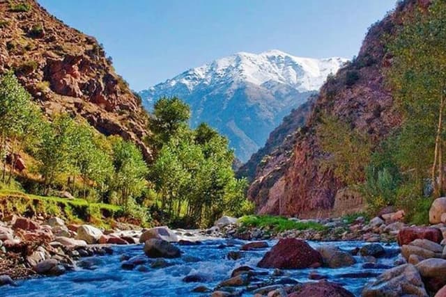Excursion to the Ourika Valley