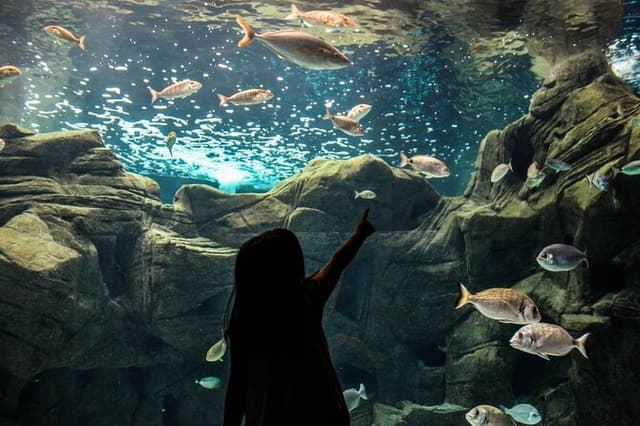 Private Chania & Rethymno Area to Dinosauria Park & Cretaquarium