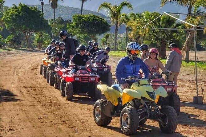 Epic Off-Road Ensenada ATV Tours & Coastal Adventures