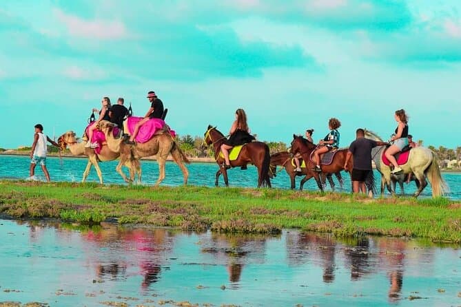Magical Camel Trekking Tours in Djerba, Tunisia