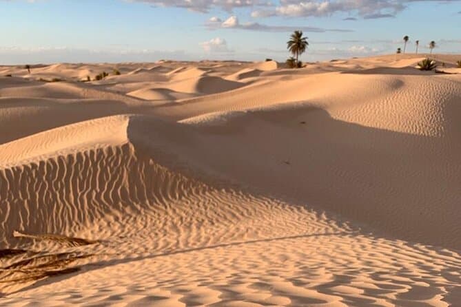 Best 2-Day Northern Tunisia & Tunis Cultural Escape