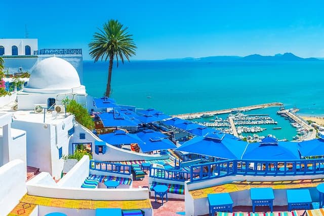 Bardo Museum with Medina, Carthage and Sidi Bou Private Tour