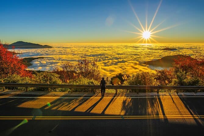 Best Sun Moon Lake & Alishan Day Tours from Taipei