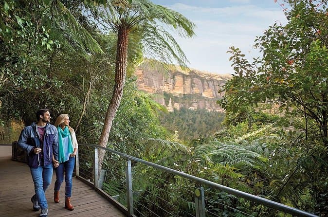 Compare Best Blue Mountains Day Trips
