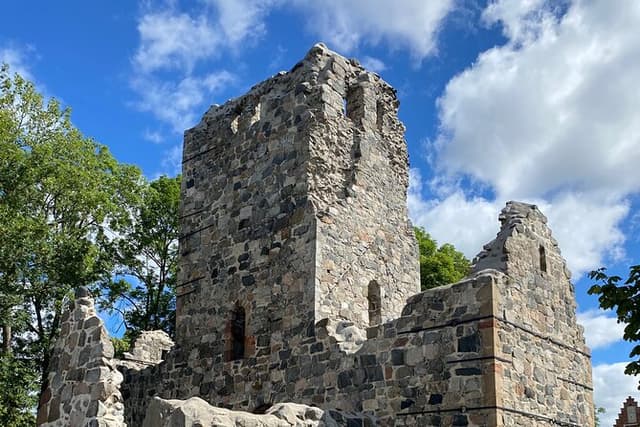Private Tour to Sigtuna, Uppsala with Viking Sights by Limousine