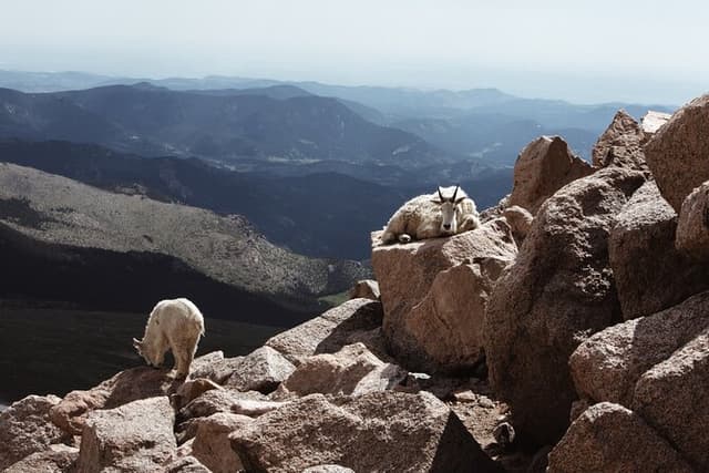 Mount Blue Sky Summit Experience & Red Rocks Tour