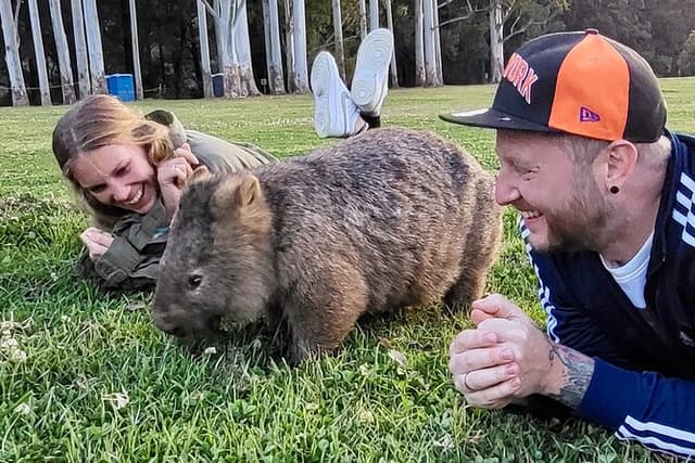 WILD Wombat and Kangaroo Day Tour, All Inclusive