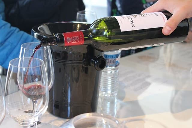 Medoc Private Half Day Wine Tour from Bordeaux