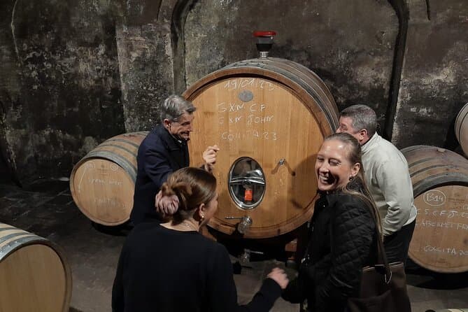 Best Priorat Wine Tours from Barcelona: Tasting & Vineyards
