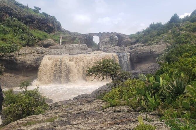 Authentic Debre Libanos Monastery Tours from Addis Ababa