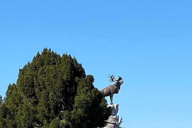 Private WW1 Canadian focused Tour including Vimy Ridge