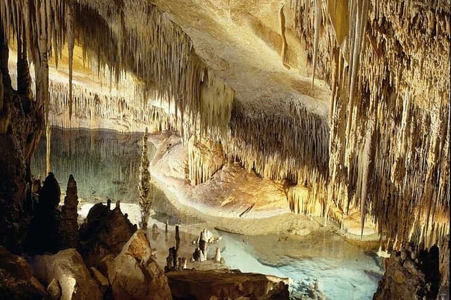 Half Day Tour Bus to the Caves of Drach