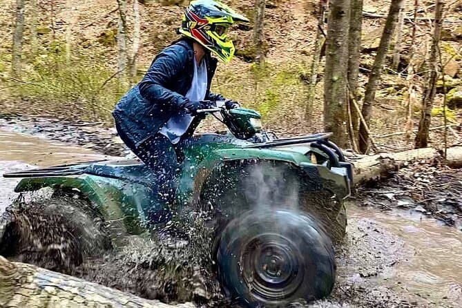 Compare Best Tours: New River Gorge & Fayetteville Adventures