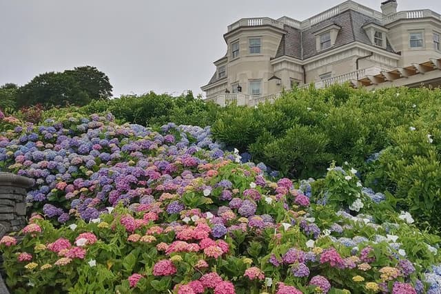 Historic Highlights with the Gilded Age Van Tour