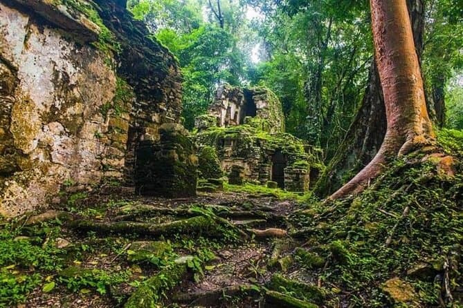 Yaxchilan & Bonampak: Lacandona Jungle Expedition