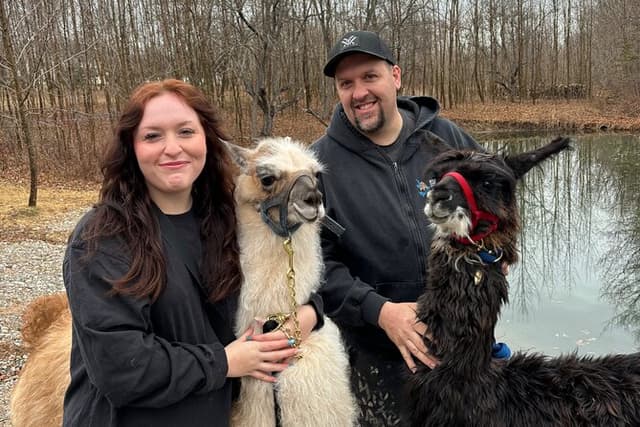 Walk & Lunch With Llamas (Outdoor Dining & Animals)