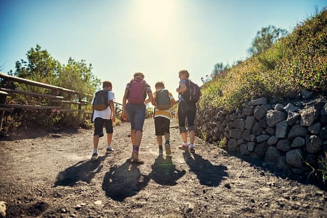 Vesuvius & Pompeii Signature Tour: Wine & Lunch from Naples