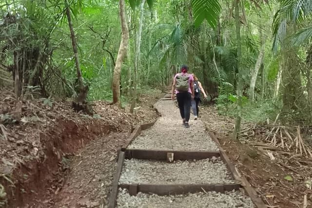 Walking Tour Metropolitan Park Panama City