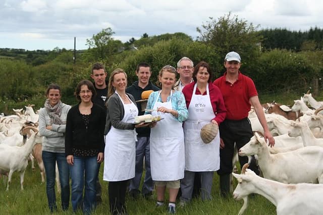 Award-Winning Goat Cheese Tasting and Farm Tour in Ennistymon