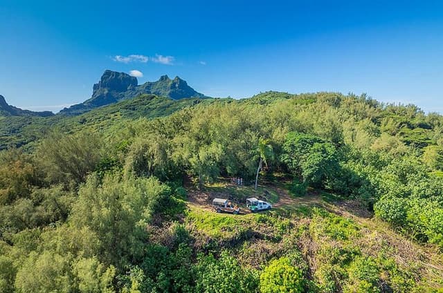 Bora Bora Half Day 4X4 Island Safari Tours