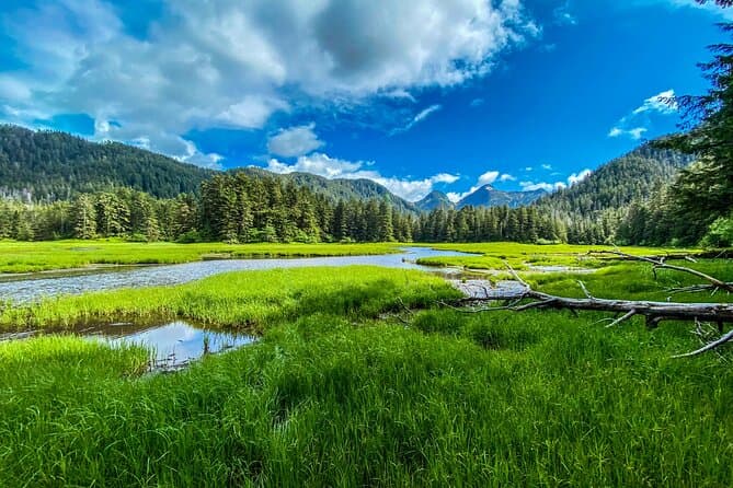 Best Sitka Scenic Tours & Alaska Coastal Adventures