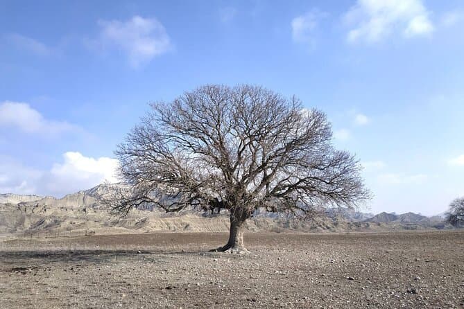 Compare Top Vashlovani National Park Tours
