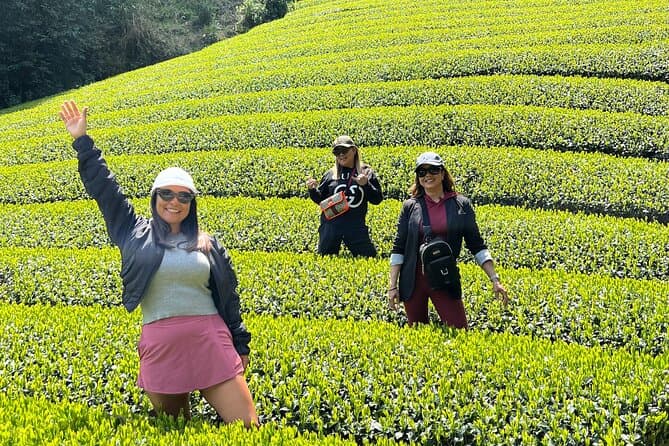 Authentic Shizuoka Tea Farm Tours & Cultural Experiences