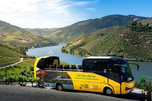 Douro Valley and Wine Day Trip from Porto