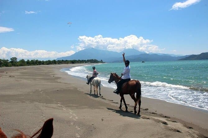Compare Top Fethiye Horse Riding Tours