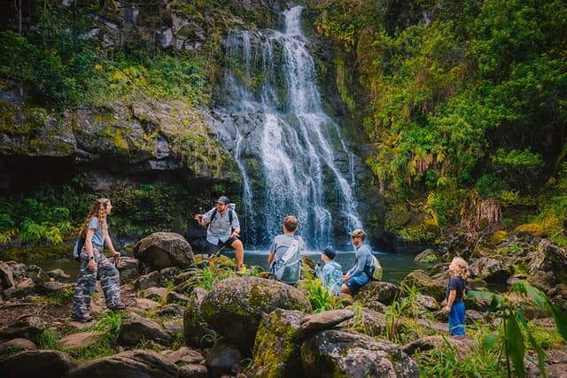 Big Island: Private Ohana Kohala Waterfalls Adventure