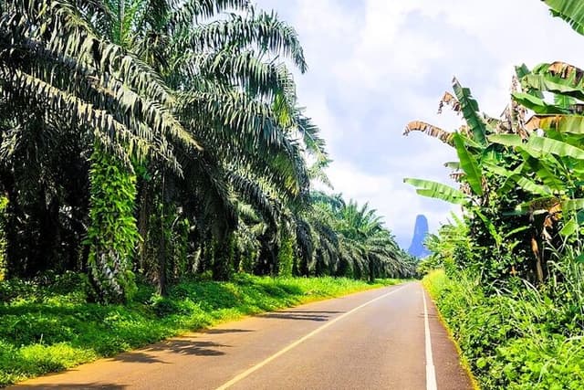 Tours in São Tomé