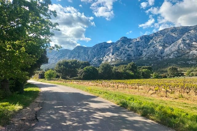 Aix-en-Provence Half Day Wine Tour with Picnic & Pétanque