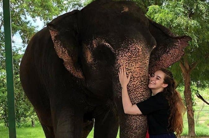 Compare Top Elephant Sanctuaries in Jaipur