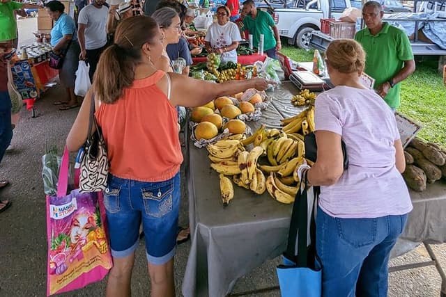 Saturday Markets & Brunch Tour