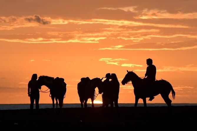 Playa Carrillo Horseback Ride