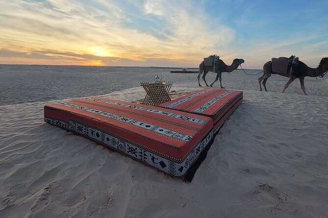 Dromedary Expedition with Night in Camp and Sandboard